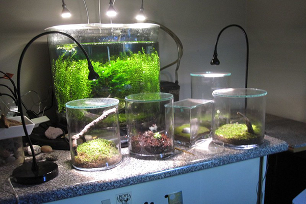 Image of LED Aquairum Lights