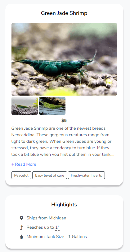 Example of a high-quality listing