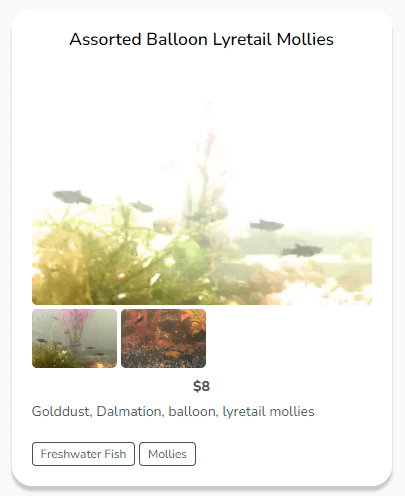 Example of a low-effort listing