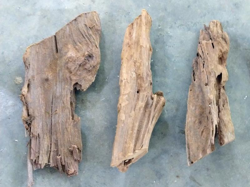Malaysian Driftwood