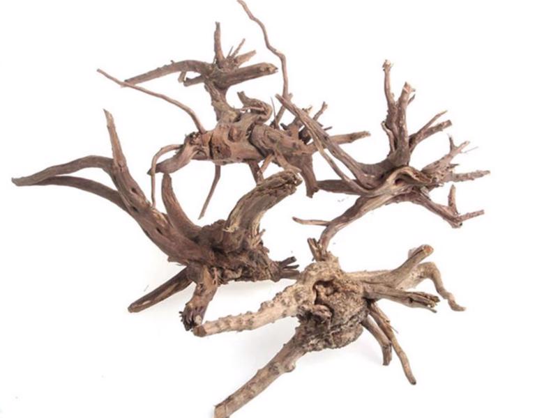 Spiderwood