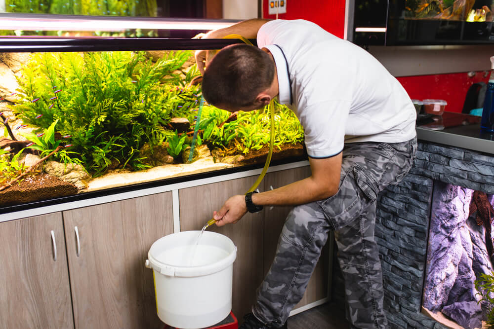 Man performing an aquarium water change