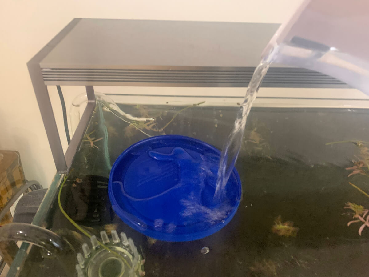 Water poured onto a tupperware lid